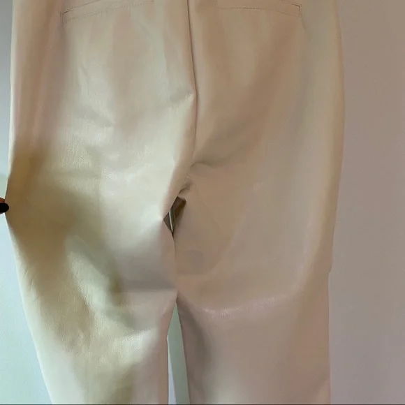 Aritzia Babaton Command Pants - Picture 7 of 16